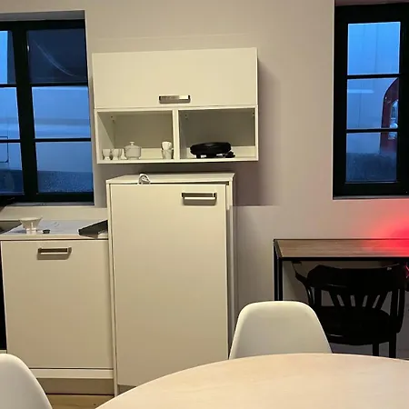 Loftwohnung Mit Garten Appartement